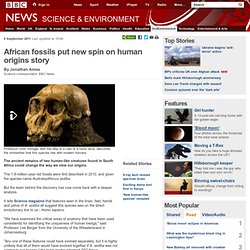 African fossils put new spin on human origins story