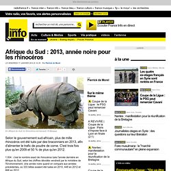 Afrique du Sud : 2013, année noire pour les rhinocéros