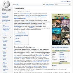Afrotheria