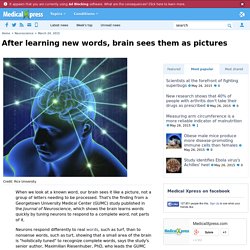 After learning new words, brain sees them as pictures