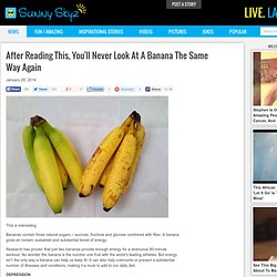 After Reading This, You'll Never Look At A Banana The Same Way Again