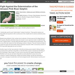 Fight Against the Extermination of the Amazon Pink River Dolphin