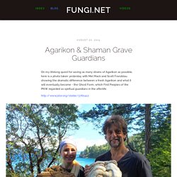 Agarikon & Shaman Grave Guardians — Fungi.net