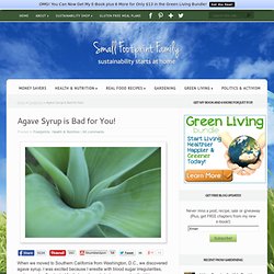 Agave Syrup is Bad for You - Small Footprint Family