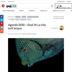 Agenda 2030 – Goal 14: La vita sott’acqua
