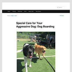 Special Care for an Aggressive Dog - Dog Boarding in Oklahoma
