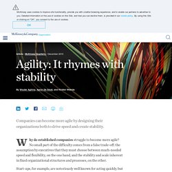 McKinsey - Agility: It rhymes with stability