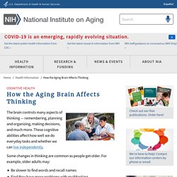 How the Aging Brain Affects Thinking