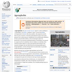 Agoraphobie — Wikipédia