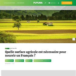 FUTURA SCIENCES 07/05/21 Quelle surface agricole est nécessaire pour nourrir un Français ?