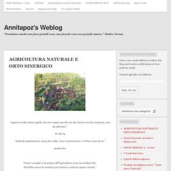 AGRICOLTURA NATURALE E ORTO SINERGICO « Annitapoz's Weblog