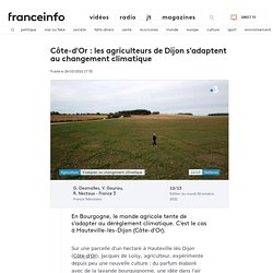 Côte-d'Or : les agriculteurs de Dijon s'adaptent au changement climatique