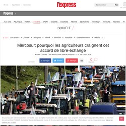 Mercosur: pourquoi les agriculteurs craignent cet accord de libre-échange