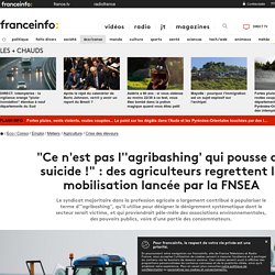 "Ce n'est pas l''agribashing' qui pousse au suicide !" : des agriculteurs regrettent la mobilisation lancée par la FNSEA