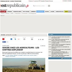 Suicide chez les agriculteurs : les chiffres explosent