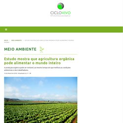 Estudo mostra que agricultura orgânica pode alimentar o mundo inteiro – CicloVivo