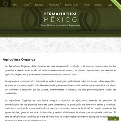 Permacultura en México V3