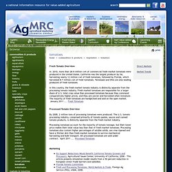 Agricultural Marketing Resource Center - Tomatoes