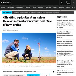 Offsetting agricultural emissions through reforestation would cost 15pc of farm profits