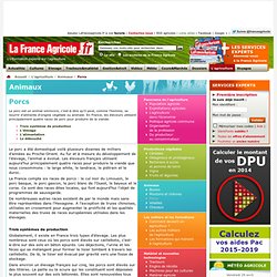 Porcs - Animaux - L'agriculture - La France Agricole - actualités agriculture, météo, cours et marchés