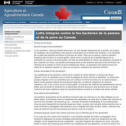 AGRICULTURE CANADA - 2006 - Lutte intégrée contre le feu bactérien de la pomme et de la poire au Canada