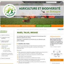  Haies, talus, bocage - Agriculture et biodiversité en Bretagne