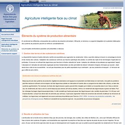 FAO 05/10/11 Agriculture intelligente face au climat