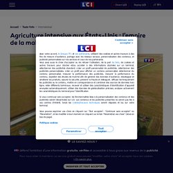 video-agriculture-intensive-aux-etats-unis-malbouffe-