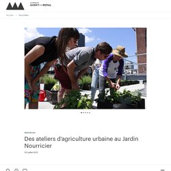 Des ateliers d’agriculture urbaine au Jardin Nourricier