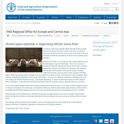 FAO 10/11/14 Ukraine gains expertise in diagnosing African swine fever