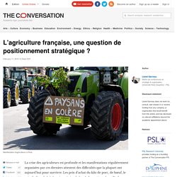 L’agriculture française, une question de positionnement stratégique ?