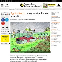 ​Agriculture. Le soja ruine les sols argentins