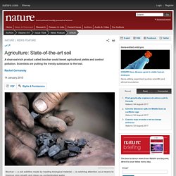 Agriculture: State-of-the-art soil