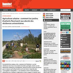 Agriculture urbaine : comment les jardins étudiants fleurissent aux abords des résidences universitaires