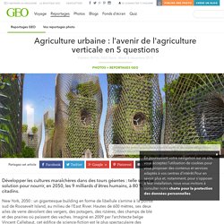 Agriculture urbaine : l'avenir de l'agriculture verticale en 5 questions