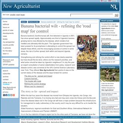 NEW AGRICULTURIST - SEPT 2006 - Banana bacterial wilt - refining the 'road map' for control