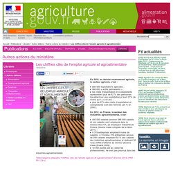 Les chiffres clés de l'emploi agricole et agroalimentaire