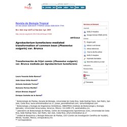 Rev. biol. trop vol.67 n.2 San José Apr. 2019 Agrobacterium tumefaciens-mediated transformation of common bean (Phaseolus vulgaris) var. Brunca