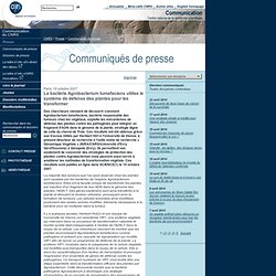 CNRS 19/10/07 La bactérie Agrobacterium tumefaciens utilise le système de défense des plantes pour les transformer