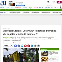 20MINUTES 21/01/20 Agrocarburants : Les PFAD, le nouvel imbroglio du dossier « huile de palme » ?