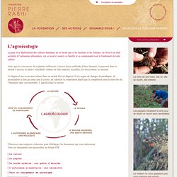 L'agroécologie - Fondation Pierre Rabhi