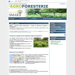 Casdar SMART / Agroforesterie Maraichère