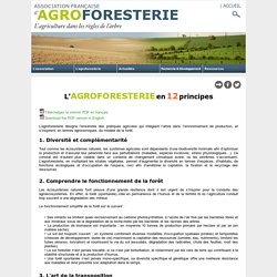 Doc 6 : L'Agroforesterie en 12 principes