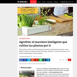 Agrofree: el macetero inteligente que cultiva tus plantas por ti