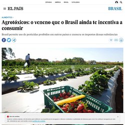Agrotóxicos: o veneno que o Brasil ainda te incentiva a consumir