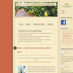 Au Jardin d'Agrumes – Le Blog » CONSEIL : La multiplication des agrumes, simple et facile !