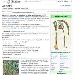 Ail cultivé (Amaryllidaceae)