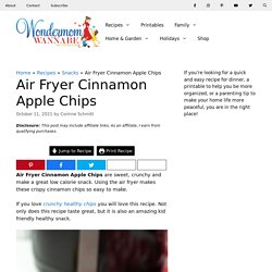 Air Fryer Cinnamon Apple Chips