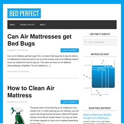 Air Mattress Archives - Bed Perfect