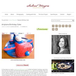 Airplane Birthday Cake « Andrea Meyers